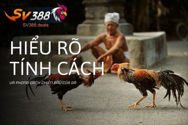 Hiểu rõ tính cách và phong cách chiến đấu của gà