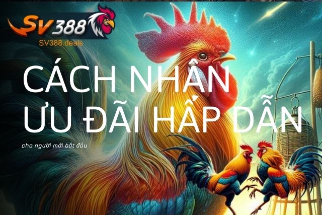 Cách nhận ưu đãi hấp dẫn cho người mới bắt đầu