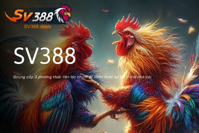 SV388 cung cấp 3 phương thức liên lạc chính để nhận được sự hỗ trợ từ nhà cái