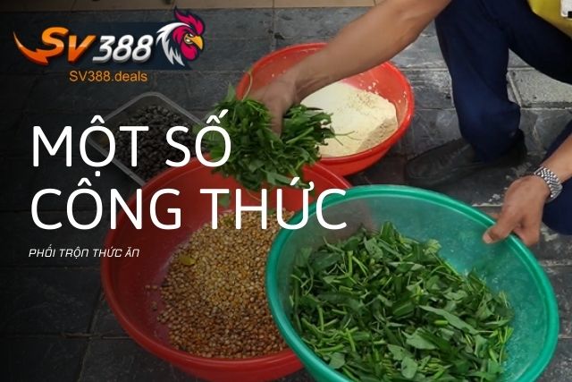 Một số công thức phối trộn thức ăn