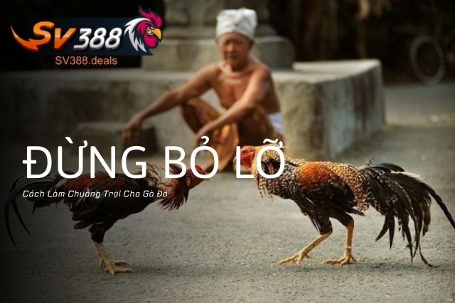 Cách Làm Chuồng Trại Cho Gà Đá: Đừng Bỏ Lỡ