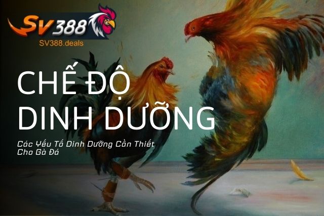 Các Yếu Tố Dinh Dưỡng Cần Thiết Cho Gà Đá