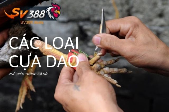 Các loại cựa dao phổ biến