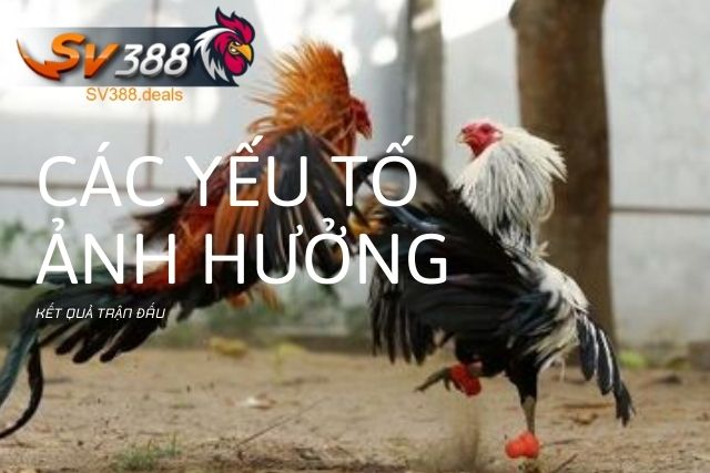 Các yếu tố ảnh hưởng đến kết quả trận đấu