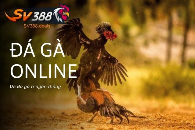 So Sánh Đá Gà Online Vs Đá Gà Truyền Thống