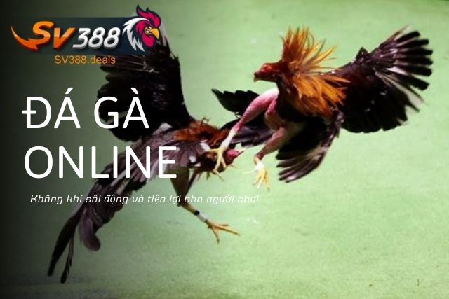 Đá Gà Online đầy sôi động và tiện lợi cho người chơi tại SV388