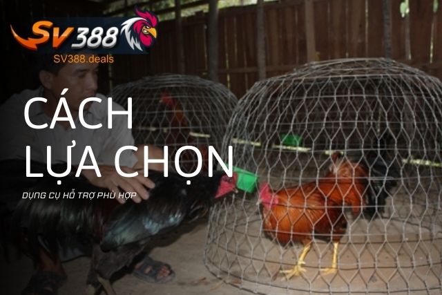 Cách lựa chọn dụng cụ hỗ trợ phù hợp