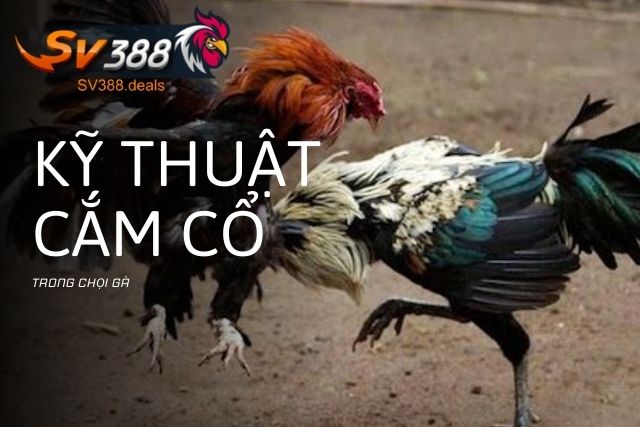 Kỹ thuật cắm cổ trong chọi gà