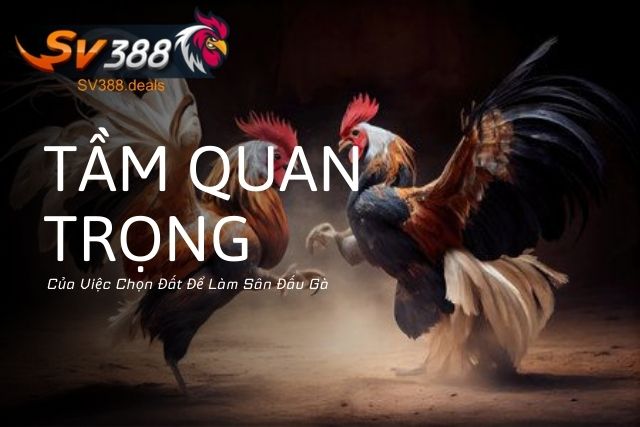 Tầm Quan Trọng Của Việc Chọn Đất Để Làm Sân Đấu Gà