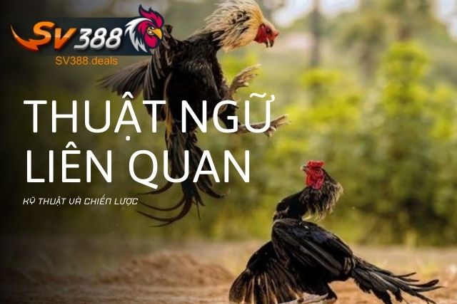 Các thuật ngữ liên quan đến kỹ thuật và chiến lược